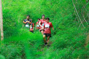 BIB: 
                            <button type="button" onclick="openModal(22092408)" class="btn btn-primary btn-sm float-right btn-popup" data-toggle="modal" data-target=".modal-high-quality">
                        <i class="fas fa-shopping-cart"></i> Add to Cart
                    </button>
                                            <button type="button" onclick="isThisMe(22092408, true)" class="btn btn-success btn-sm float-right btn-popup btn-isme hidden" data-toggle="tooltip" data-placement="bottom" title="นี่คือรูปของคุณใช่ไหม คลิกที่นี่เพื่อเอาเข้าอัลบั้ม">
                        <i class="fas fa-plus"></i> Add to album
                    </button>
                    <button type="button" onclick="isThisMe(22092408, false)" class="btn btn-warning btn-sm float-right btn-popup btn-isnotme hidden">
                        <i class="fas fa-ban"></i> Remove from album
                    </button>